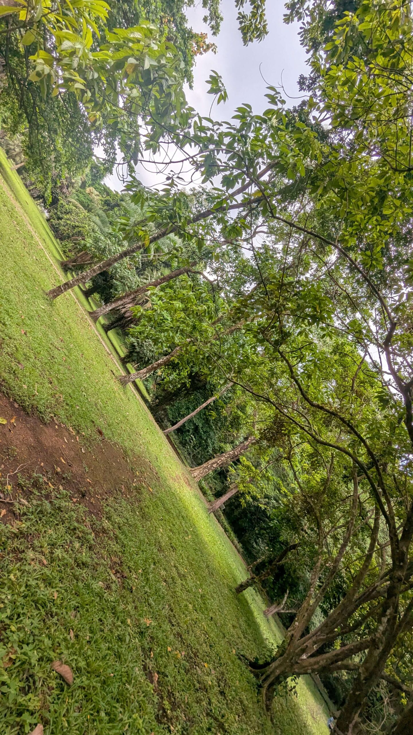 botanic garden access